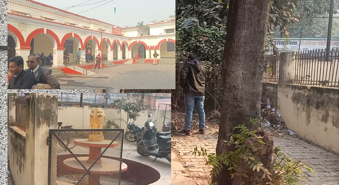 राष्ट्रीय प्रतीक अशोक स्तंभ के बगल में लोग कर रहे लघु शंका