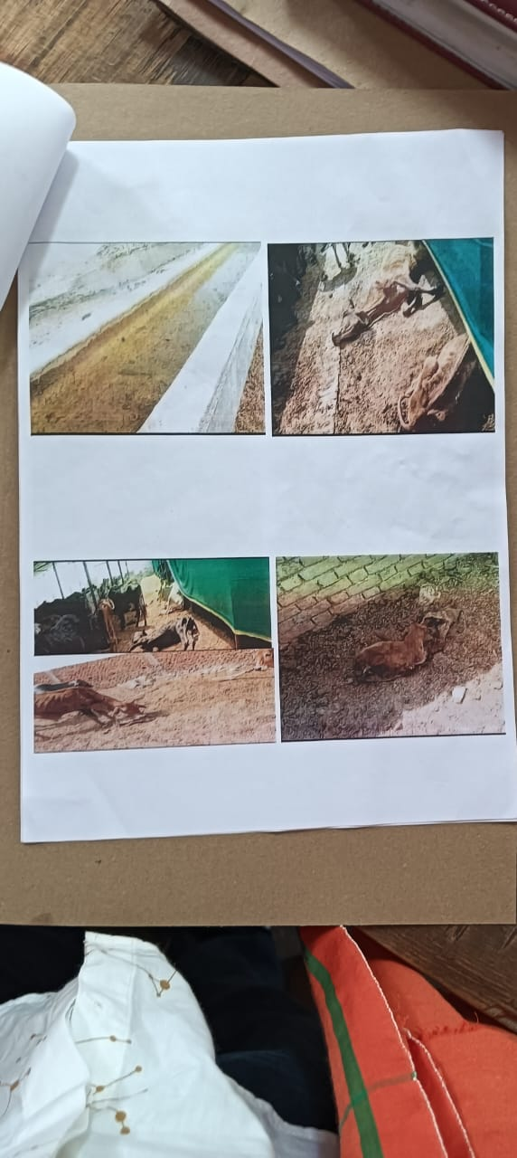 बिरनो ग्राम पंचायत में प्रधान सचिवों ने मचाया भ्रष्टाचार का खेल