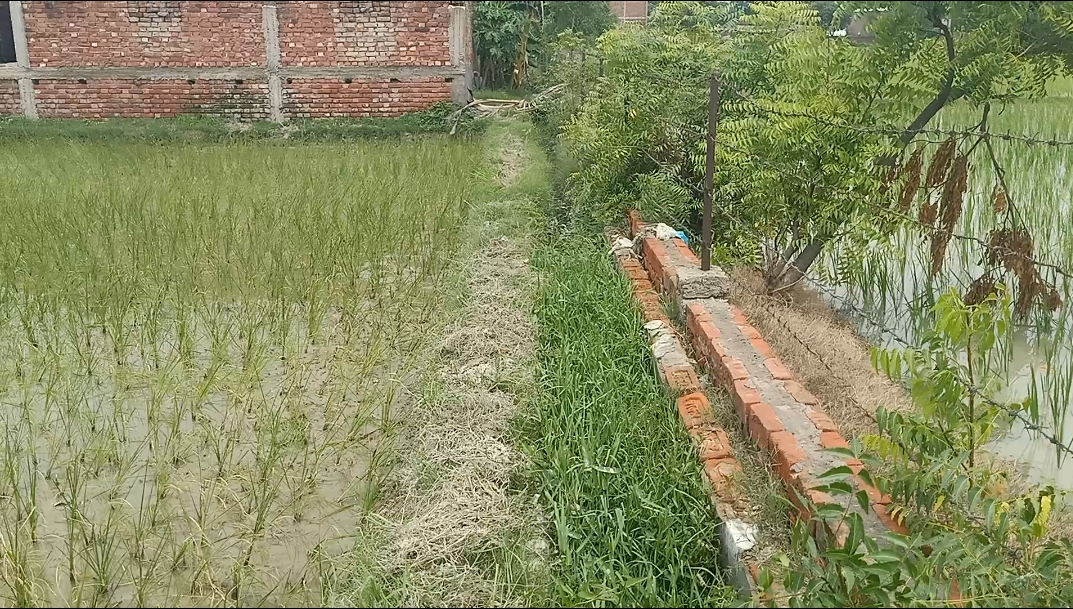 नालियों की गंदगी से बीमारी का खतरा बढ़ा, लापरवाही से गांव में गंदगी का अंबार लगा